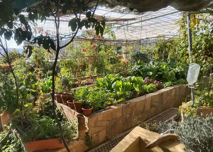 Апартаменты Cortez 4 Сан-Бартоломе